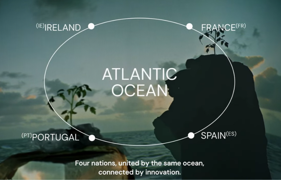 Promotional video of the project