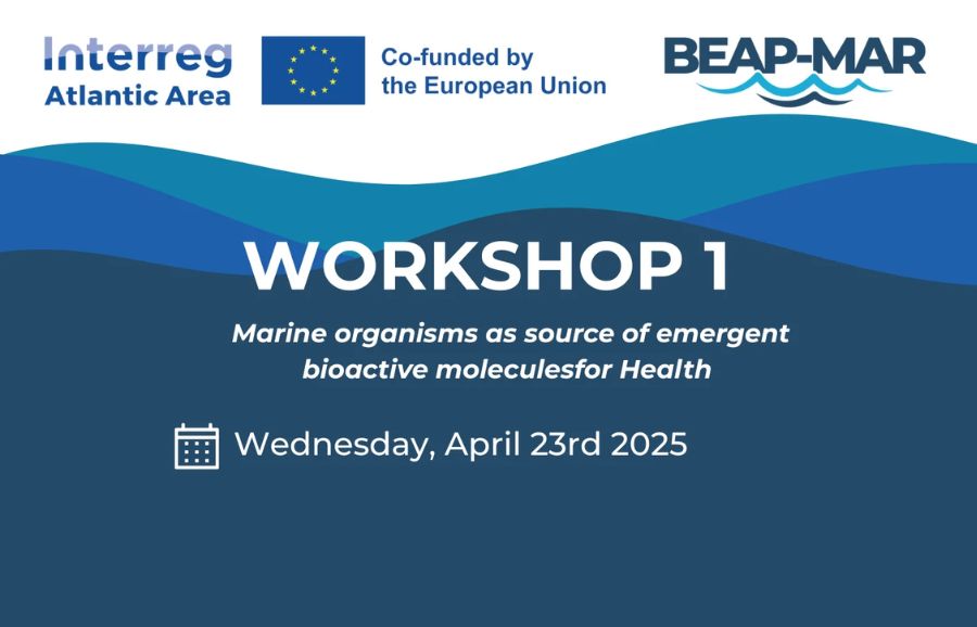 Poster of the workshop