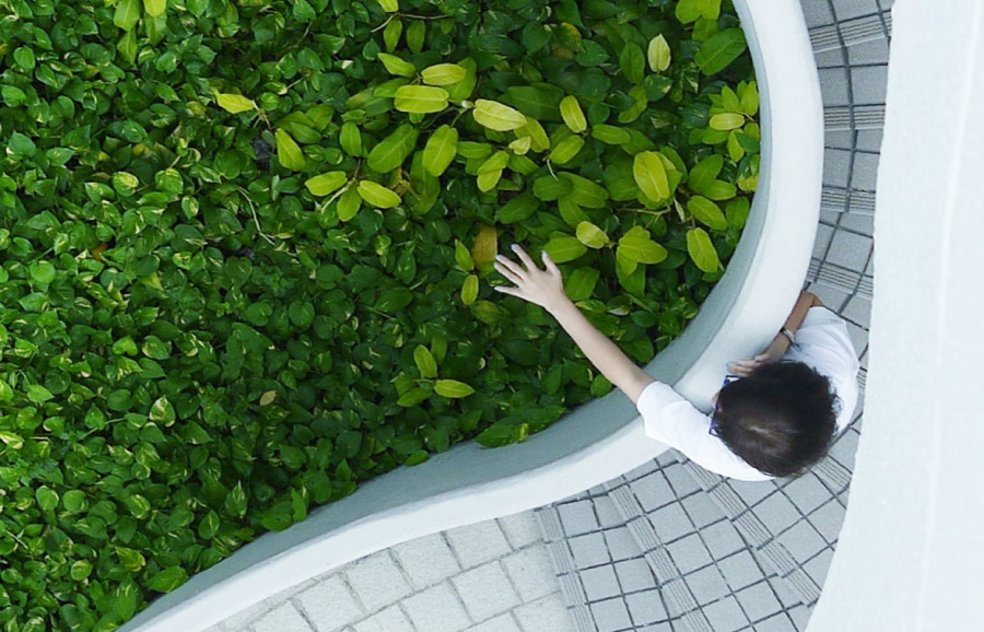 Blue and Green environment