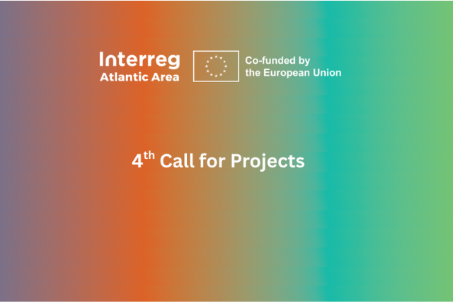 4th Call for Projects