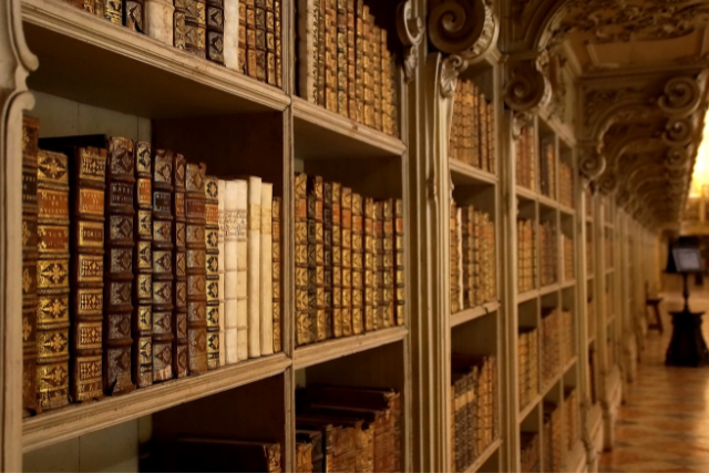 Discover our Projects