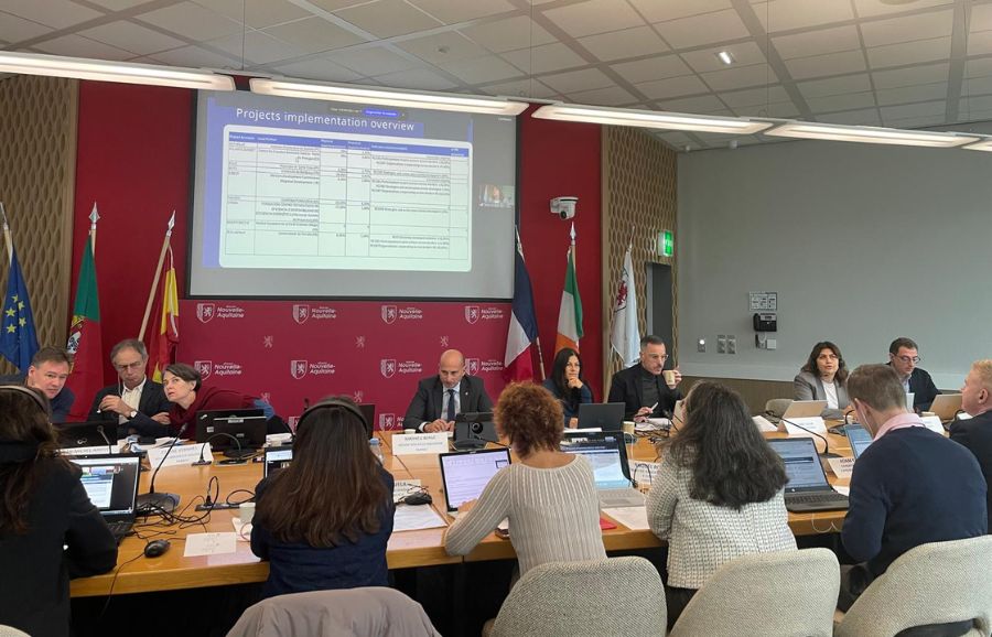 Plenary Monitoring Committee