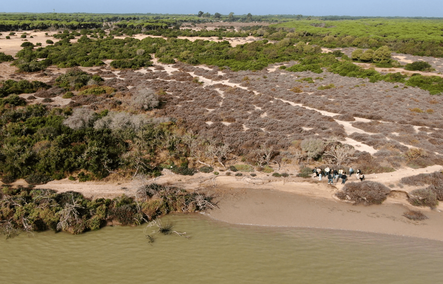 Donana National Park
