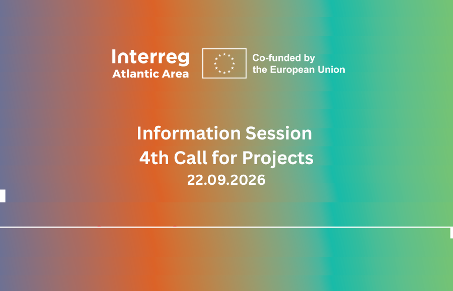 4th Call for Projects: Online Information Session