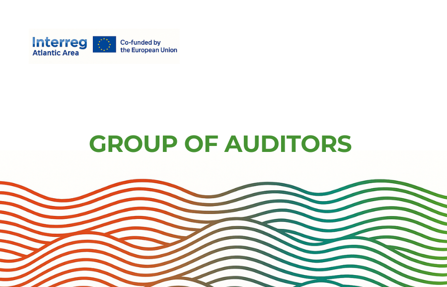 Group of Auditors template