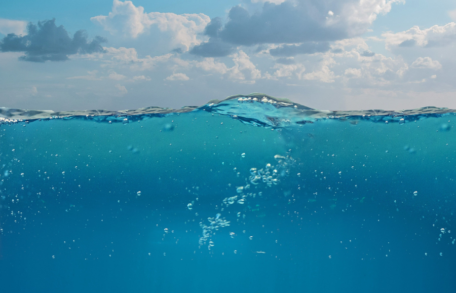 ADT4Blue empowers 30 new entrepreneurs and companies