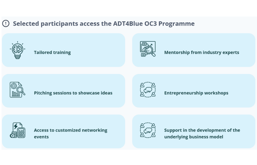 ADT4Blue seeks entrepreneurs for a mentoring programme