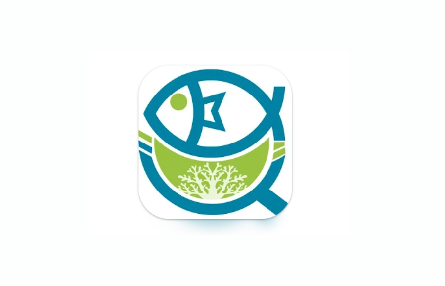 AQUAFISH launches new app on sustainable seafood resources