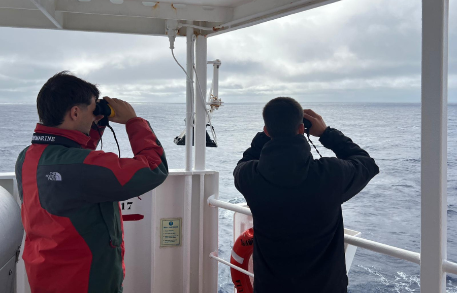 A new mapping effort for whales and shipping in the Atlantic Region