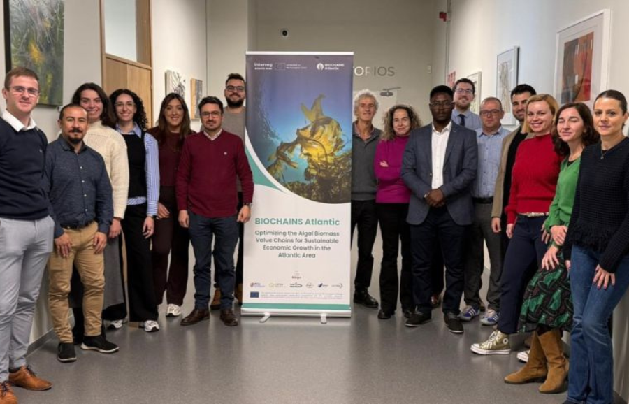 Optimising Algal Value Chains in the Atlantic Region
