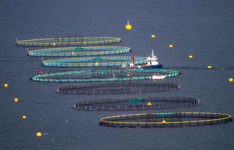 Aquaculture facilities