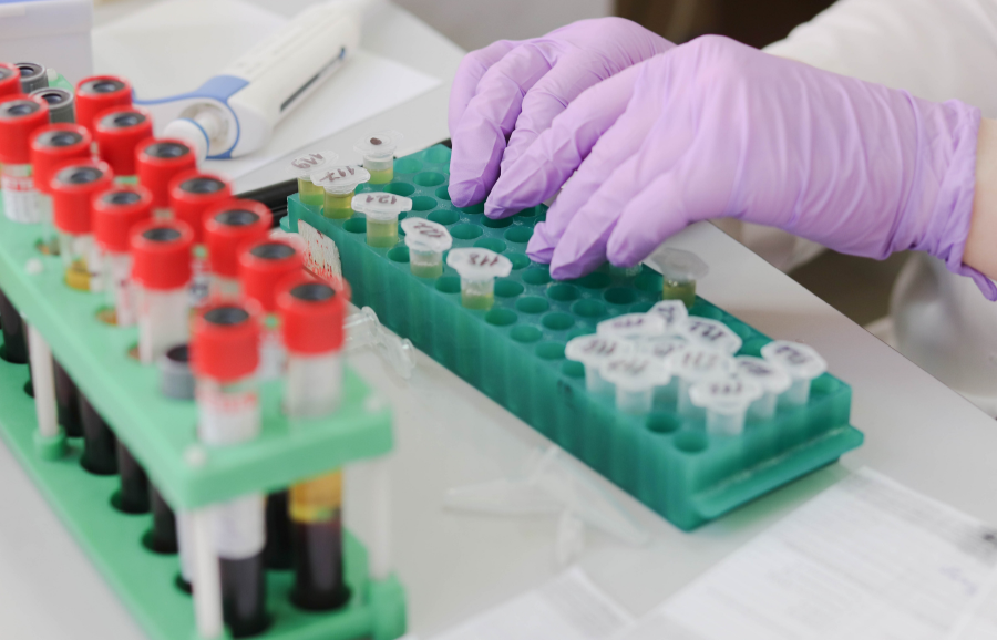 New experiments using marine biomass hydrogels for breast cancer research