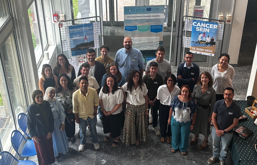 BOTS Summer School brings together Atlantic researchers to advance breast cancer research