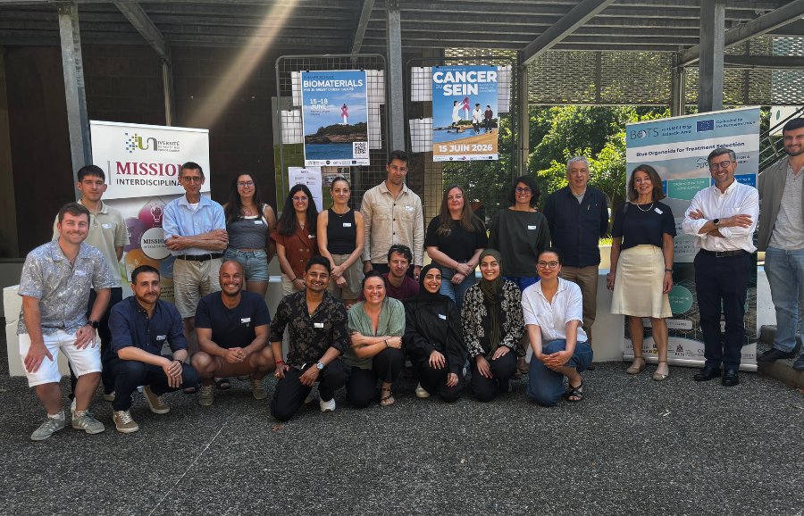BOTS Summer School brings together Atlantic researchers to advance breast cancer research