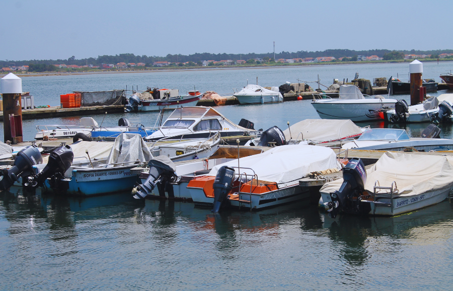 Have Your Say: EU Strategy for Coastal Communities