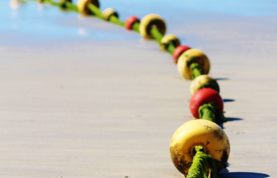 Harnessing the ocean's natural potential with marine bioactive projects
