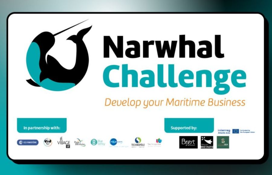 Narwhal challenge poster