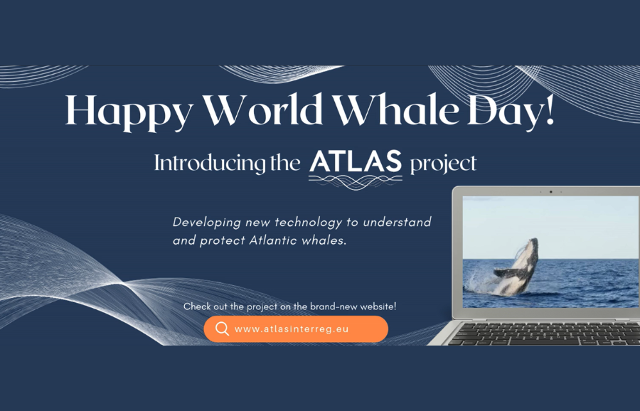 ATLAS launches new website on World Whale Day