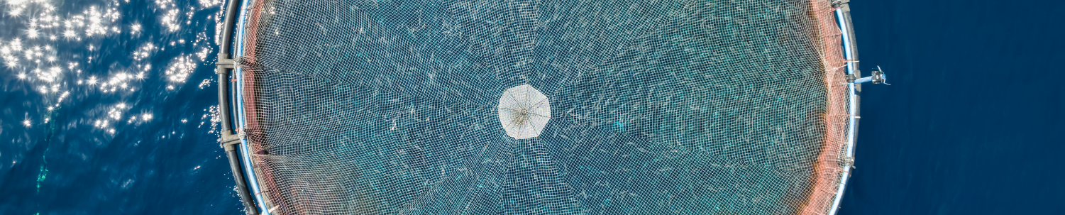 Aquaculture farm