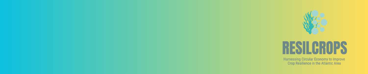 Logo Resilcrops project